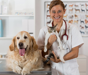 February is Pet Dental Month
