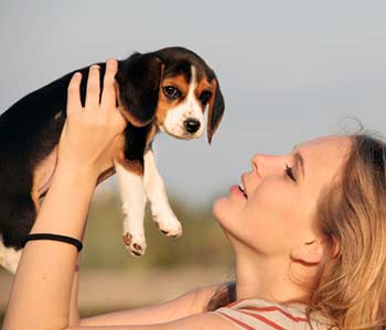 How To Take Care Of A Puppy in the Riverside, FL area