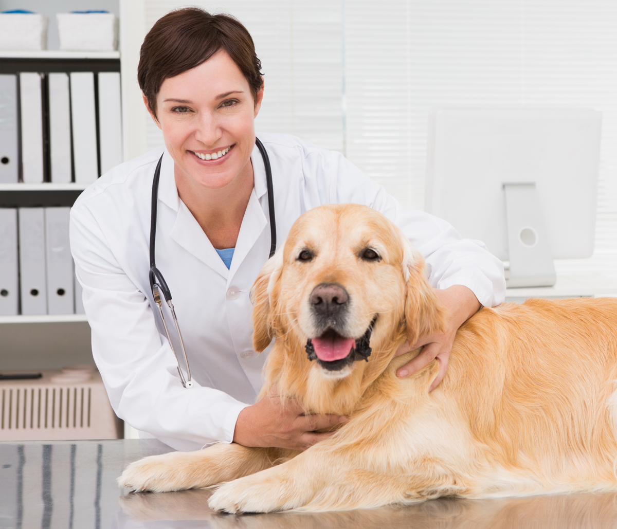 Protect your pet’s health and happiness with quality, preventive veterinary care