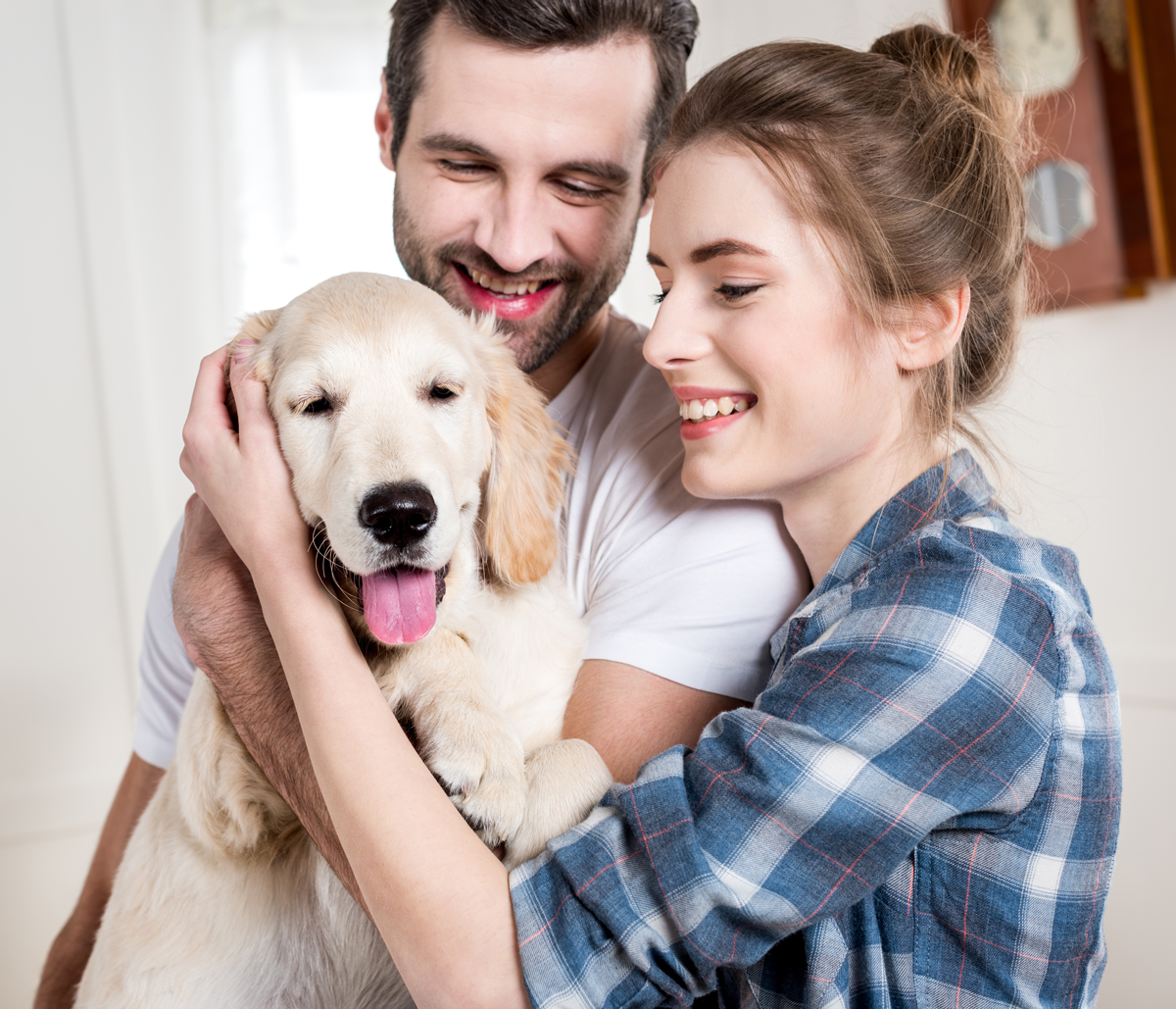 Pet Insurance: A Worthy Investment for Your Furry Friend