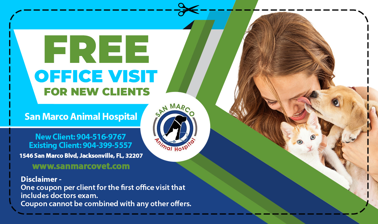 Free First Visit Offer Animal Clinic in Jacksonville